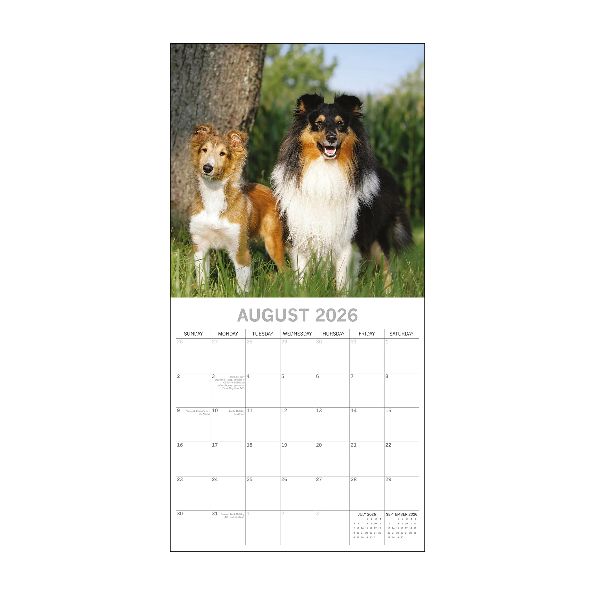 2026 Square Wall Calendar Dogs & Puppies - Image 3
