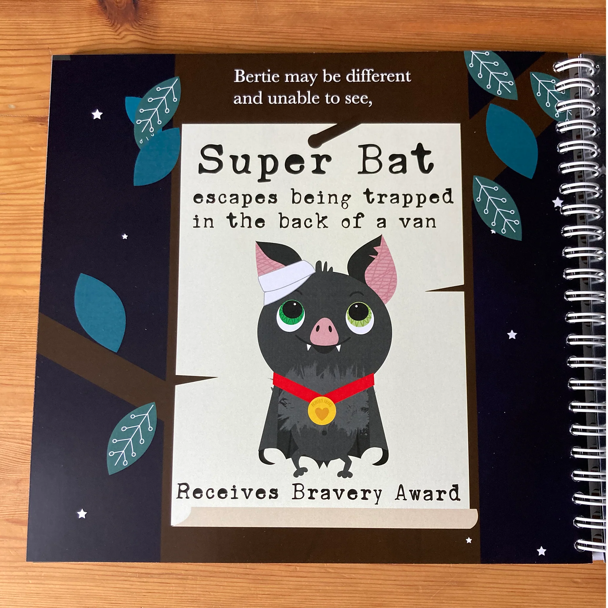 Bertie the very blind bat (contracted UEB) - Image 3