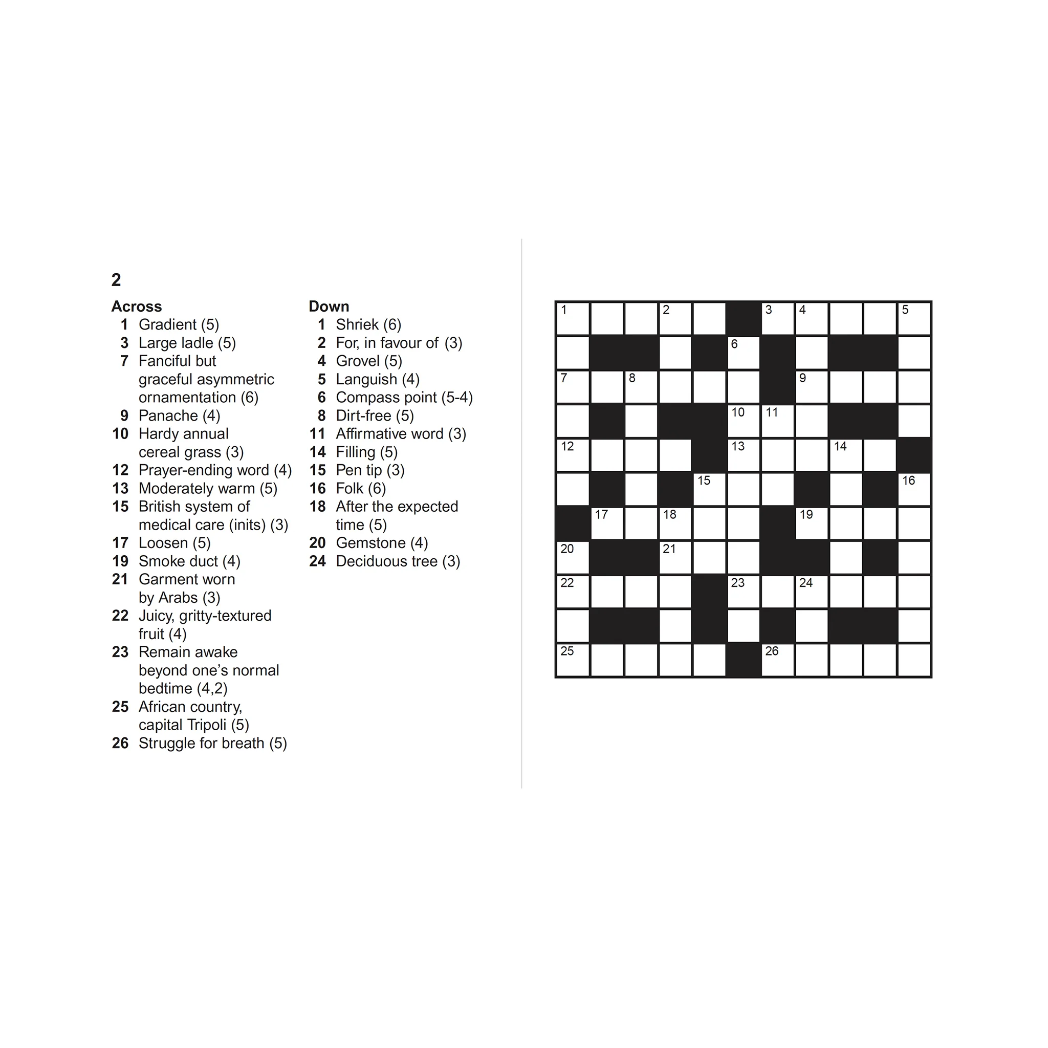Extra Large Print Crosswords - Image 3