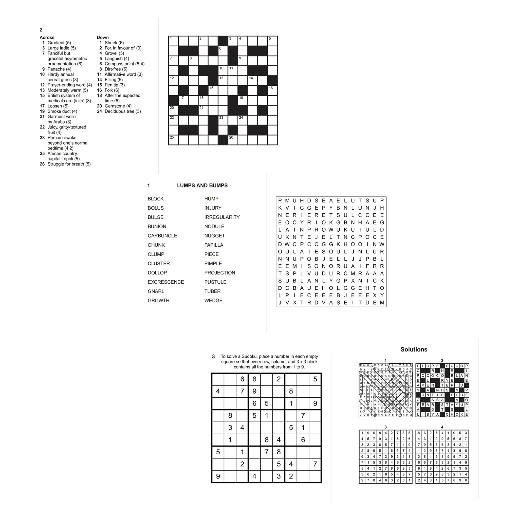 Extra Large Print Puzzles - Image 3