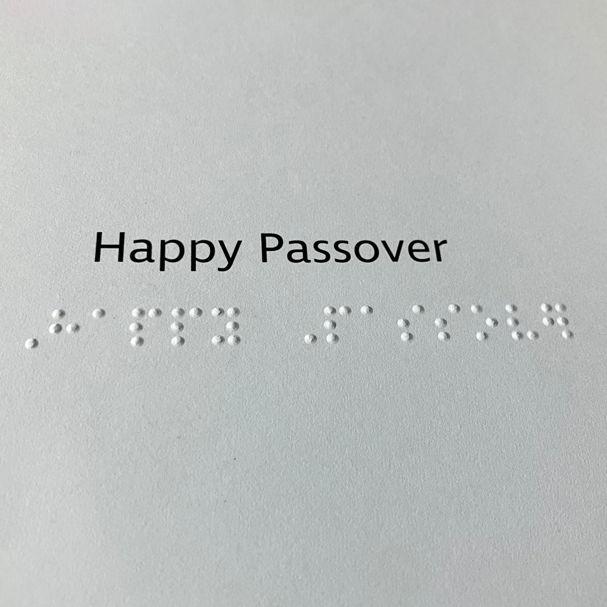 Inclusive Passover charity card - Image 3