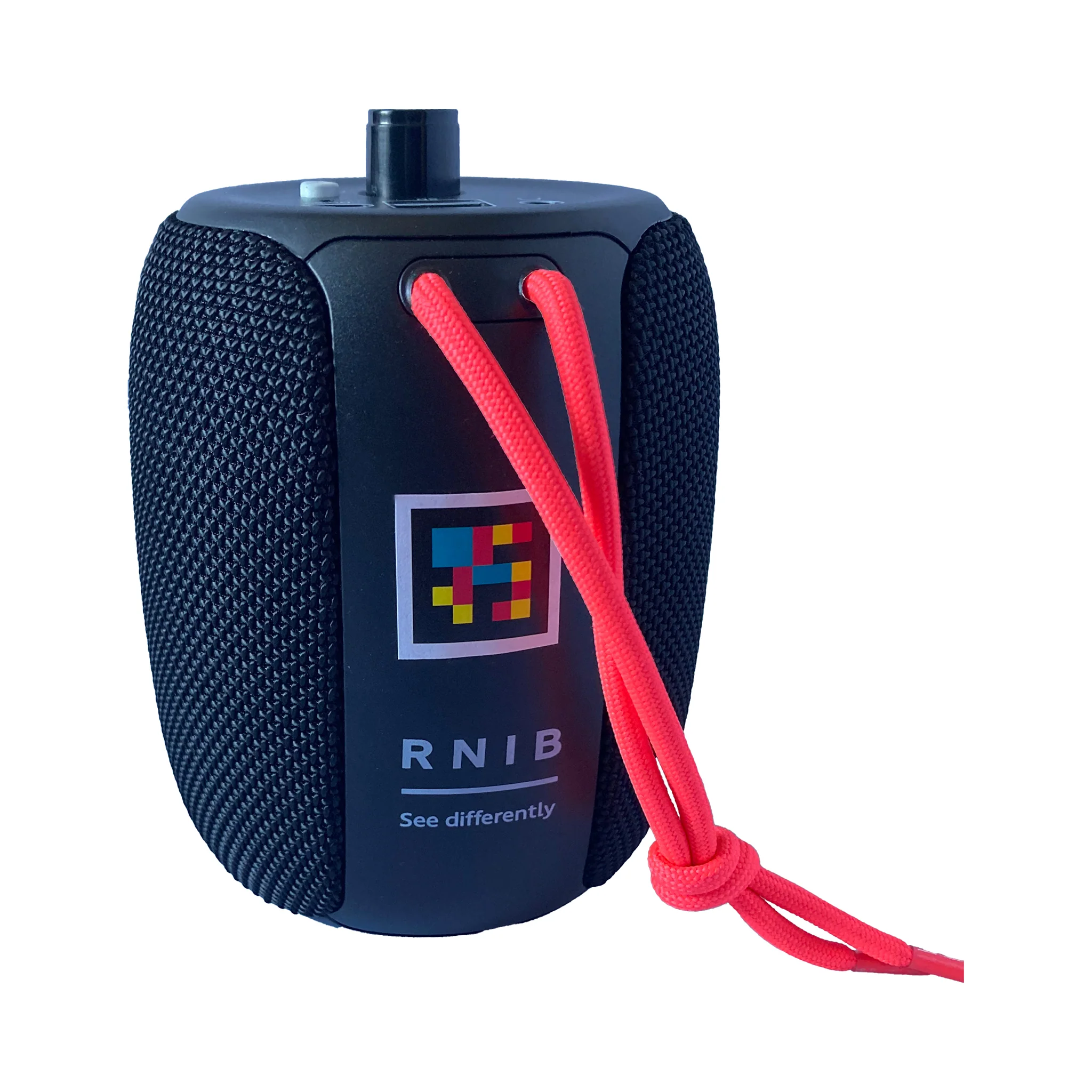 RNIB Accord - Image 3