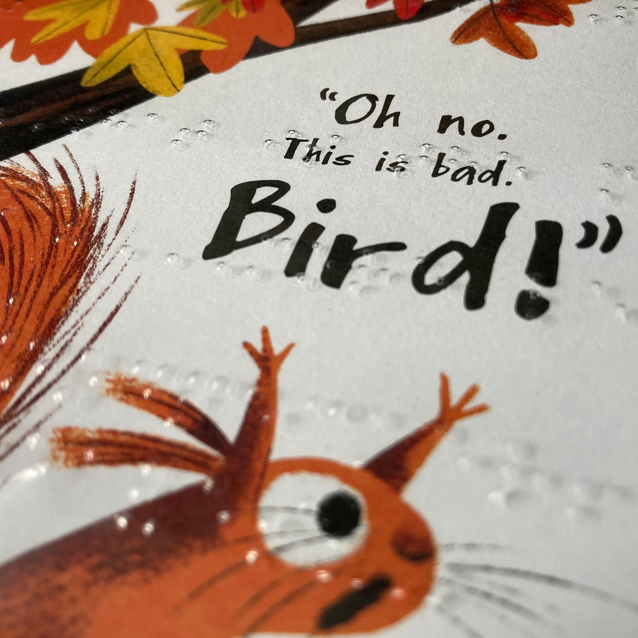 The Leaf Thief: The Leaf Thief  (uncontracted UEB) - Image 2