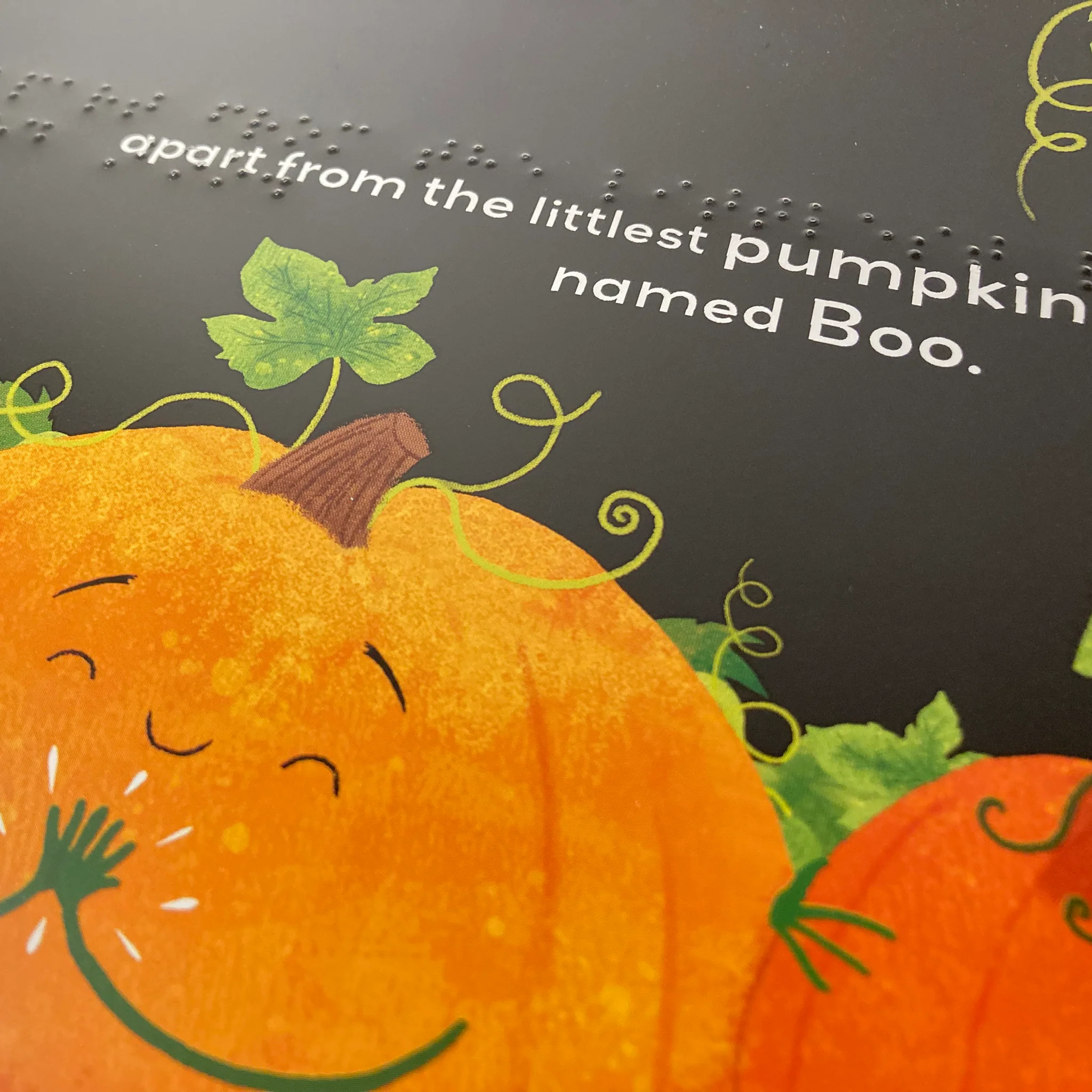 The Pumpkin Who was Afraid of the Dark (contracted UEB) - Image 2